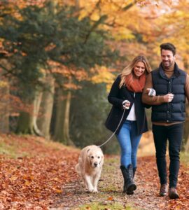 10 Ways to Improve Your Daily Walks