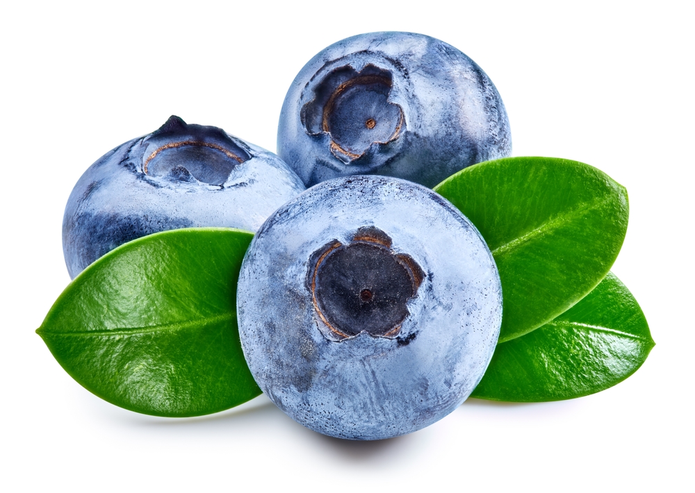 Prevent Memory Less - Blueberries