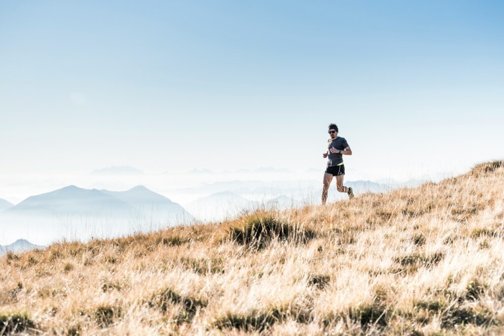 Paleo - Movement